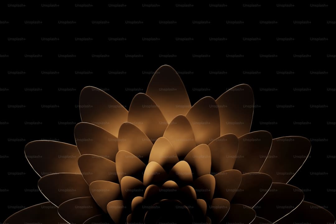 https://img1.utuku.imgcdc.com/511x0/news/20250905/d3c7f6ef-0659-42e2-9294-a3c18e353b97.jpg